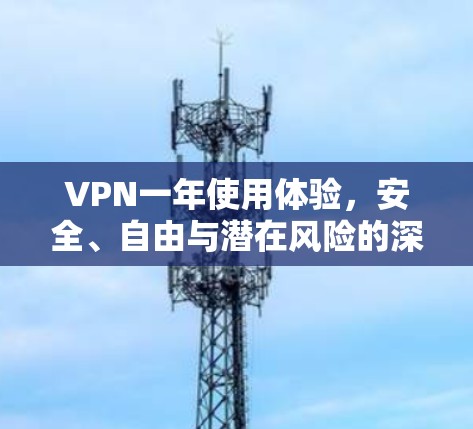 VPN一年使用体验,安全、自由与潜在风险的深度分析