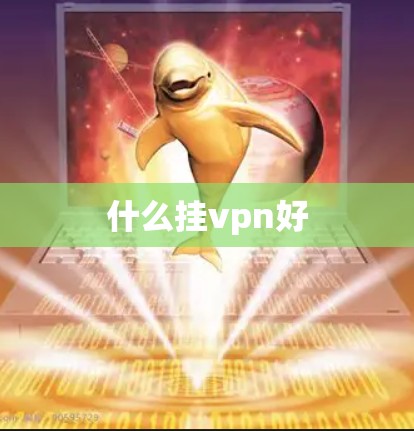 什么挂vpn好